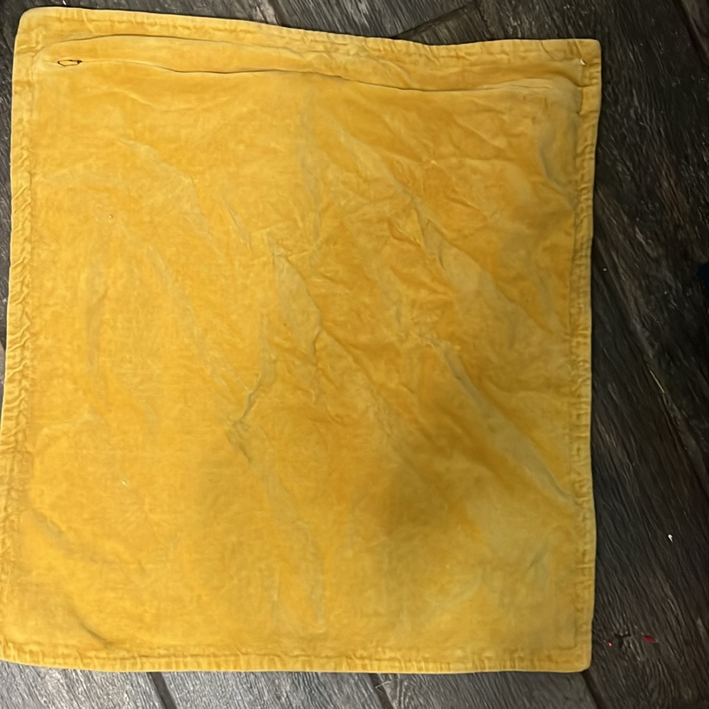 West Elm velvet pillow cover - Picture 3 of 3